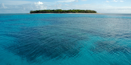 Great Barrier Reef beneath Lady Musgrave teems with sea-life, and the island is home to green and loggerhead turtles between November and February. Photo / Thinkstock