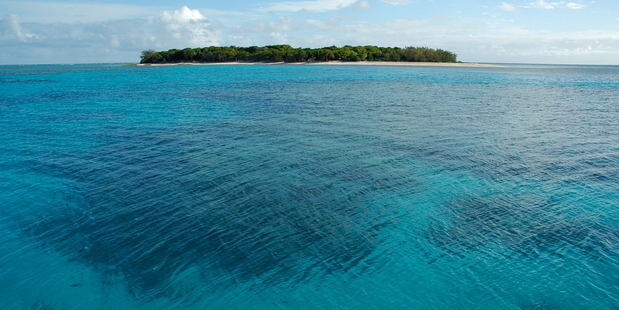 Great Barrier Reef beneath Lady Musgrave teems with sea-life, and the island is home to green and loggerhead turtles between November and February. Photo / Thinkstock
