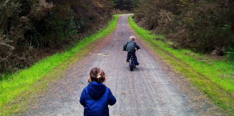 Riverhead Forest has trails to suit all levels and they are clearly marked. Photo / Supplied