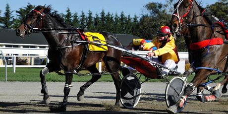 Franco Ledger proved too strong in the Hannon Memorial, the feature race at Oamaru yesterday. Picture / Otago Daily Times
