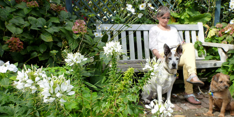 Concentrating on flowers of one colour can be effective. Photo / Supplied