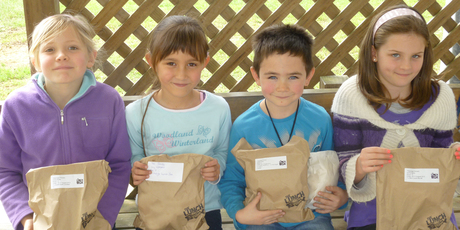 From left: Olivia Bratty, Lilly Williams, Devlin Lewis and Tesha Harris of the Lunch Box Club. Photo / Supplied