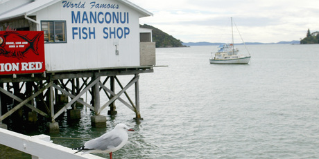 Diners at the Mangonui Fish Shop can experience fish so fresh it tastes as if it has just leapt out of the sea. Photo / Martin Sykes