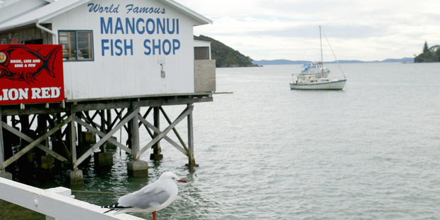 Diners at the Mangonui Fish Shop can experience fish so fresh it tastes as if it has just leapt out of the sea. Photo / Martin Sykes