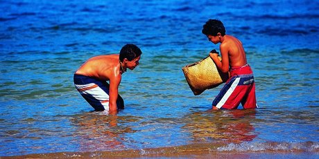 Many of us have a memory of a bit of coastal foraging followed by a succulent backyard barbie. Photo / Supplied