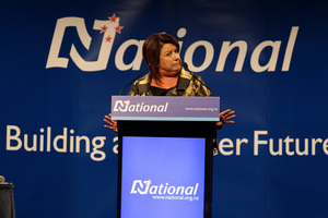 Paula Bennett decided to consult the Aussies. Photo / Michael Craig
