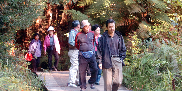 Auckland Airport hopes to push Japanese tourist numbers towards 100,000 per year. Photo / APN