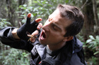 Even a close encounter with a weta isn't enough to put Bear Grylls off New Zealand. Photo / Supplied