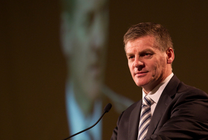 The discussion, being led by Finance Minister Bill English, who has a good sense of Treaty principles, aims to take 'shares plus' off the table. Photo / File