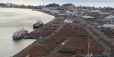 Port of Tauranga gained 2 per cent. Photo / Bay of Plenty Times
