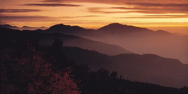 Thick white clouds swirl around the Alishan mountains, which offer spectacular views of the sunrise. Photo / Supplied
