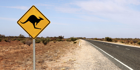 Photo / Thinkstock