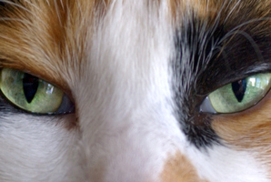 File photo / Thinkstock