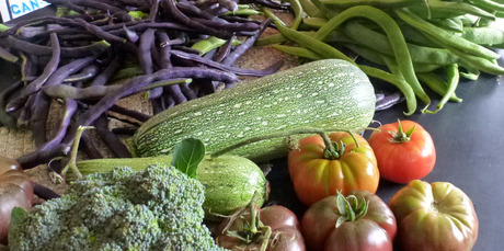 Sowing fruit and veges now will give you a delicious summer harvest, and save you money. Photo / Meg Liptrot