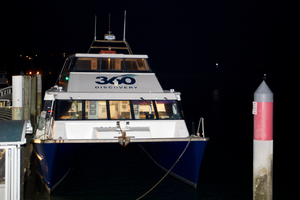 The 360 Discovery Ferry that caught fire with passengers commuting from the City to Gulf Harbour. Photo / Richard Robinson.