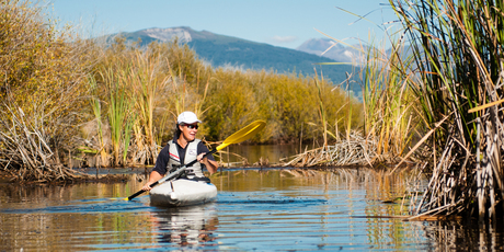 A volunteer on the Waimarino Wetland for Project Tongariro. Photo / Fraser Crichton