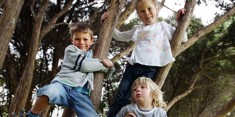 Trees offer the best views for Noel, 5, Olivia, 7, and Nate, 2. Photo / Doug Sherring