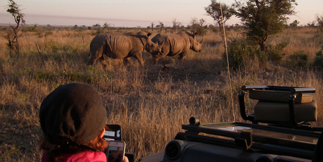 The camera gets a constant workout in Kruger National Park, with sightings of rhinos, elephants, impala and more. Photo / Paul Stowers