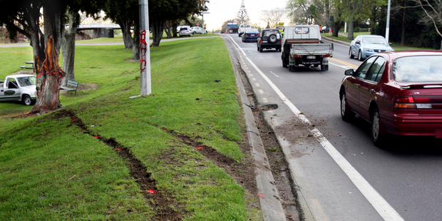 The pursued young men were fatally injured when the stolen vehicle they were in crashed into this tree in Te Puke. Picture / APN