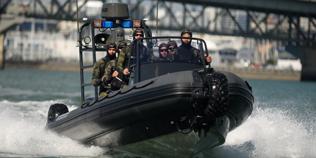 The meeting of amphibious boat-maker Sealegs was a shambles. Photo / APN
