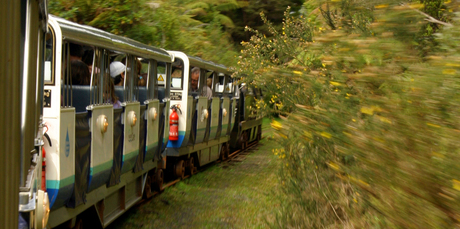 The Rain Forest Express takes passengers to the dam. Photo / The Aucklander