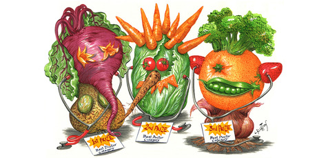 Illustration / Anna Crichton