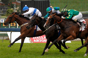 Miss Artistic, left, is an each-way hope at Moonee Valley.Picture / Natalie Slade