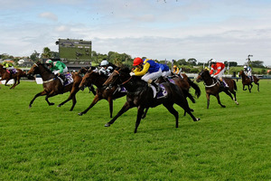 Warhorse (blue and yellow colours), pictured in the Diamond Stakes which he won on a protest, will be seeking an Ellerslie double in the Bonecrusher Stakes tomorrow.Picture / Sarah Ivey