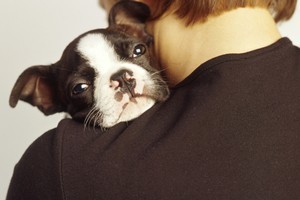 Photo / Thinkstock