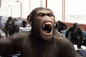 Weta Digital's work on Planet of the Apes has been nominated for an Oscar. Photo / Supplied