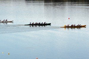 The waka-ama regatta was cancelled due to mangrove-clogged waterways. Photo / Dean Purcell