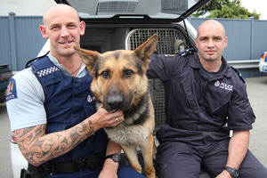 Constable Darren Pavelka, Police dog Brock and his handler Senior Constable Lyal Bayliss. Photo / Star