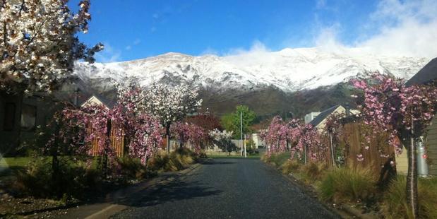 Fresh snow around Wanaka yesterday. Photo / Emma van Opzeeland