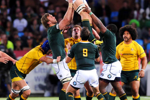 Eben Etzebeth, lifted high against the Wallabies last weekend, is a fast-rising young Springbok player. Photo / Getty Images