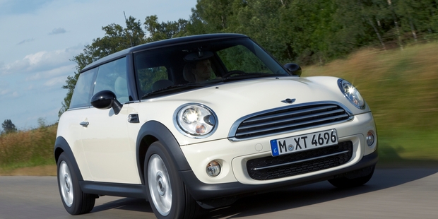 Mini Ray. Photo / Supplied