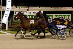 Sushi Sushi (1) is under the most pressure tomorrow. Photo / Dean Purcell