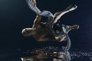 Okareka Dance Company.