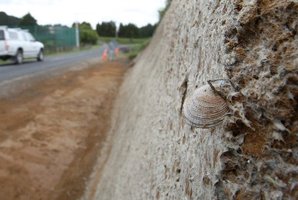 A midden was found while roadworks were taking place on McLaren Falls Rd. The finding has set back the completion of the road upgrade, angering some residents in the area. Photo / Joel Ford