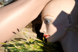 A group shooting a movie in Wellington have lost their fake dead body and police have been warned. Photo / Thinkstock