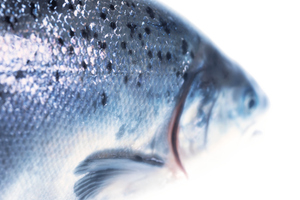 Photo / Thinkstock