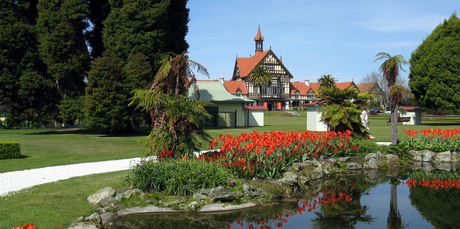 The tulips at Government Gardens in Rotorua. Photo / Rotorua Daily Post