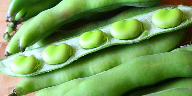 The broad bean is one of the sweetest, most tender vegetables there is. Photo / Thinkstock