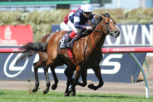Craig Williams rides Green Moon. Photo / Getty Images