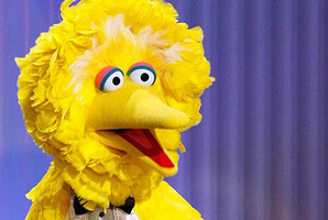My Lyall said Big Bird "shouldn't be used that way".