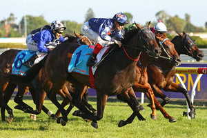 Leon Macdonald has shrugged his shoulders after the Turnbull Stakes flop with Southern Speed. Photo / Getty Images