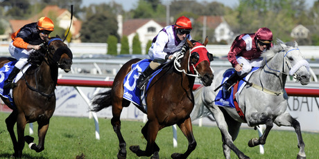 Glen Boss (centre) rides Ocean Park to victory in the Underwood Stakes two weeks ago. Photo / Supplied