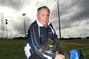 Huntley trainer Denis Schofield has qualified three finalists. Photo / Martin Sykes