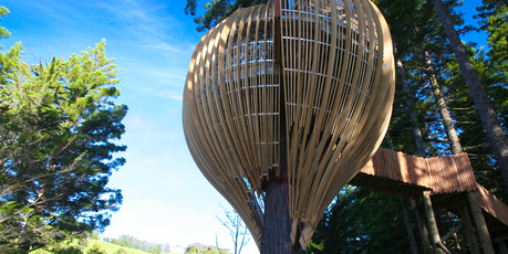 The Redwoods Treehouse has garnered worldwide attention for its innovation and design. Photo / Supplied