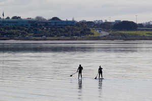 The proposed project would open up a 4km stretch of Shoal Bay coastline to the public and include a walkway and cycle path. Photo / Richard Robinson