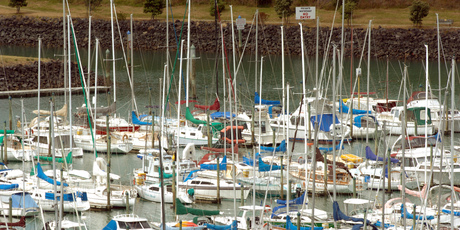 Brin Wilson Boats is based at Gulf Harbour, north of Auckland. Photo / Ross Setford